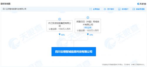 阿里巴巴成立科技公司加碼大數(shù)據(jù)服務(wù)，布局?jǐn)?shù)字經(jīng)濟(jì)新賽道